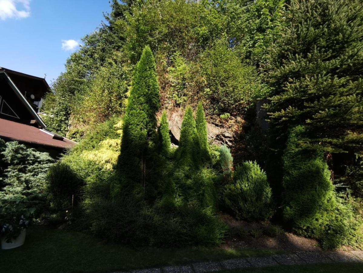 Haus Am Bach Apartamento Kirchberg in Tirol Exterior foto